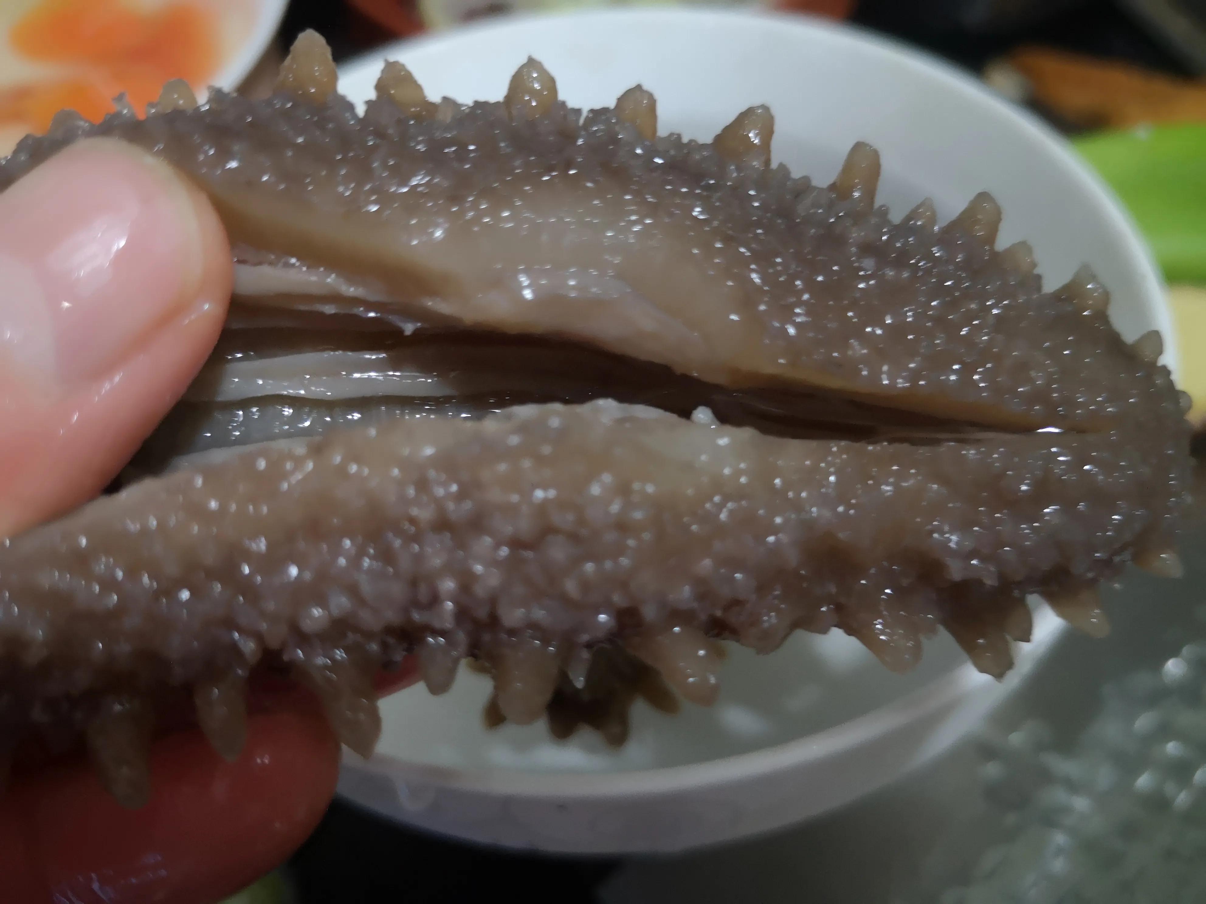 土鸡海参焖花胶,春节花胶海参鸡汤最佳做法