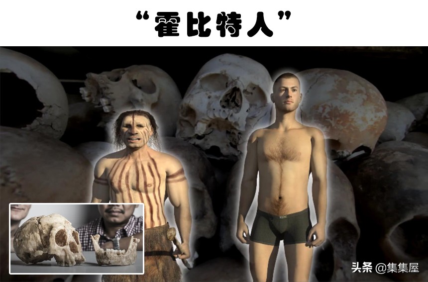 真实存在的5种生物,我的世界虚构生物