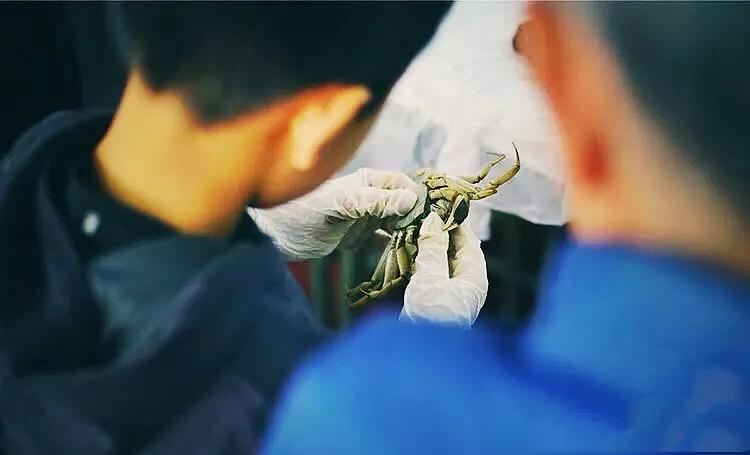 木兰笔记手写,木兰诗笔记重点