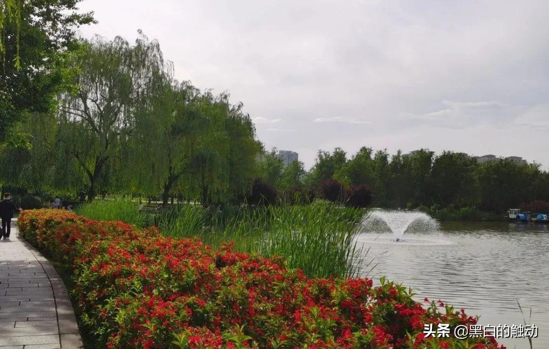 唐朝的长安有多繁华,大唐长安到底有多繁华