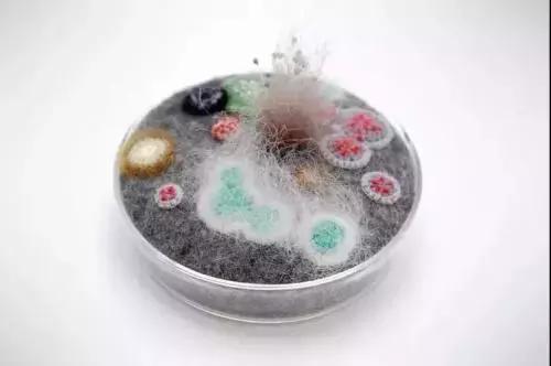 一生至少来一次：反复发作的霉菌性阴道炎