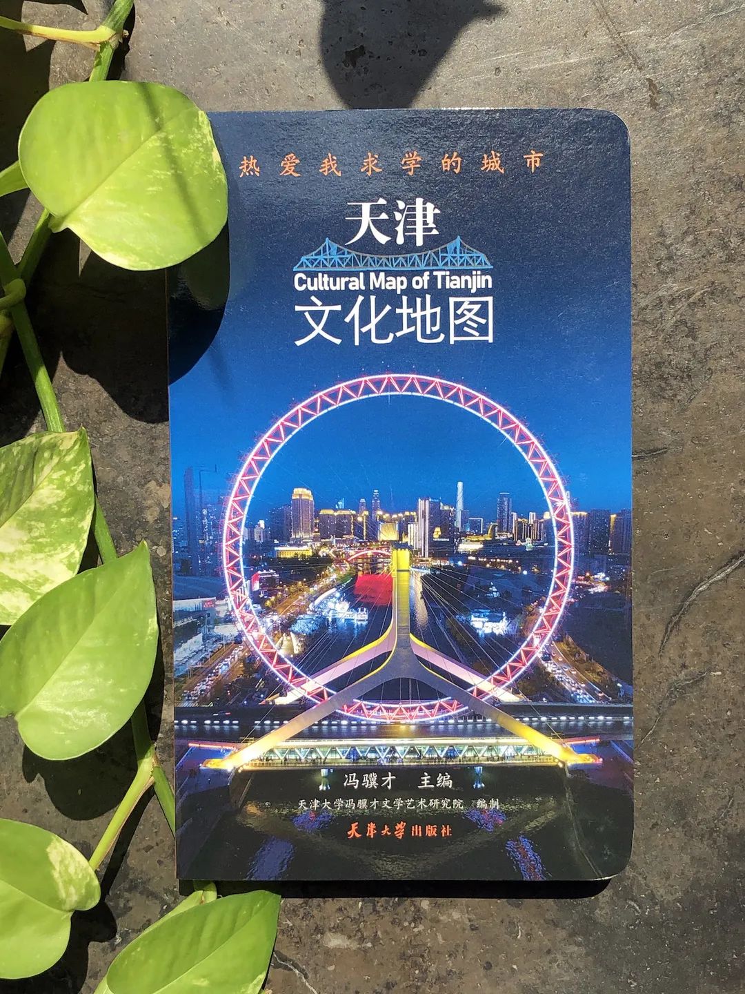 话说天津卫冯骥才,冯骥才笔下的天津