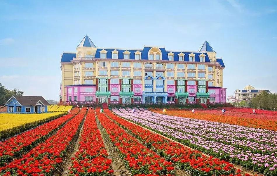 广州国庆旅游攻略大全图,广州最全景点攻略