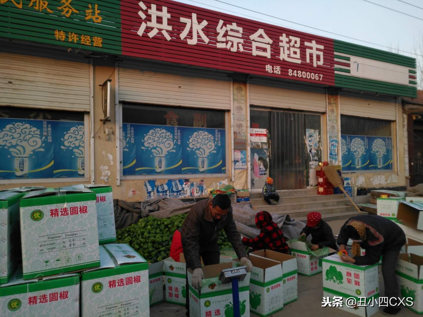 种植大棚一年能挣多少钱,种植大棚一个月能挣多少钱