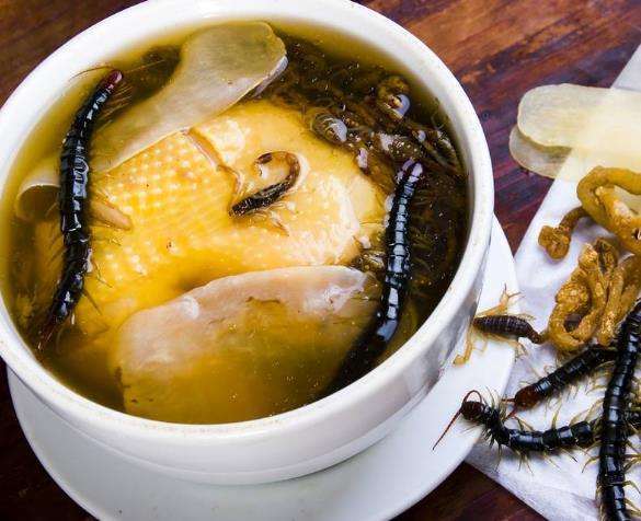 中国十大最毒蜈蚣排名,毒蜈蚣十大排行榜