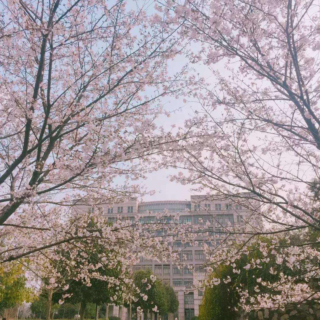 这样的青春，混迹过黄家湖大学城的人都会懂