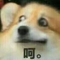 服装设计到底要不要坚持,服装设计属于什么大类