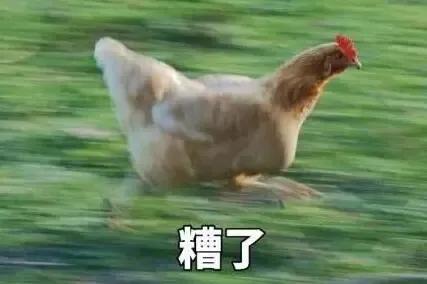 “蛋疼”真的不！能！忍！