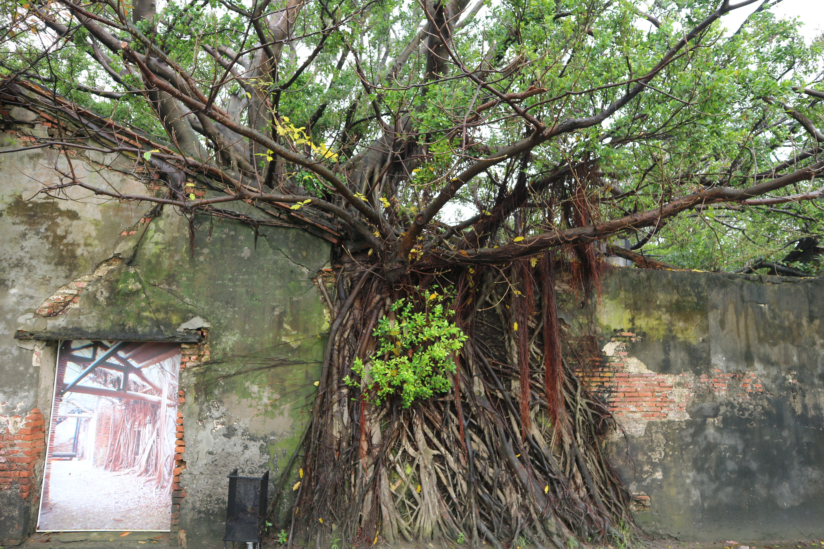 台湾人眼中的台南府,台湾真实印象