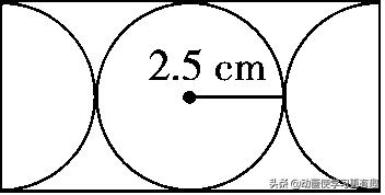 6年级上册数学圆的周长测试卷,六年级上册数学第五单元圆的周长