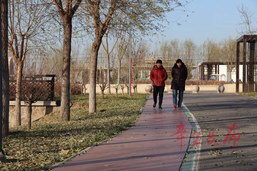 辛集市陈马庄足球场,锦绣公园网球场辛集