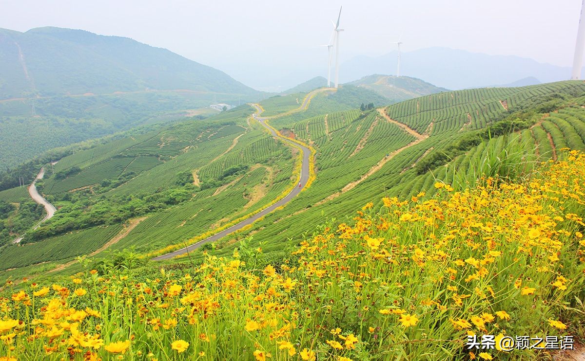 宁波的香格里拉，宁波小九寨，都是网络炒作的力量