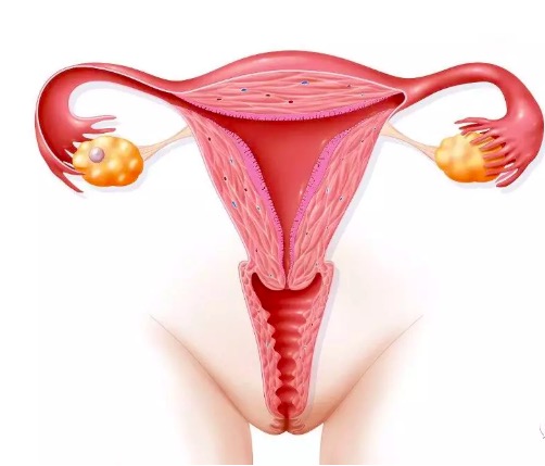 小丽医生,尿尿疼痛总感觉尿不干净怎么办