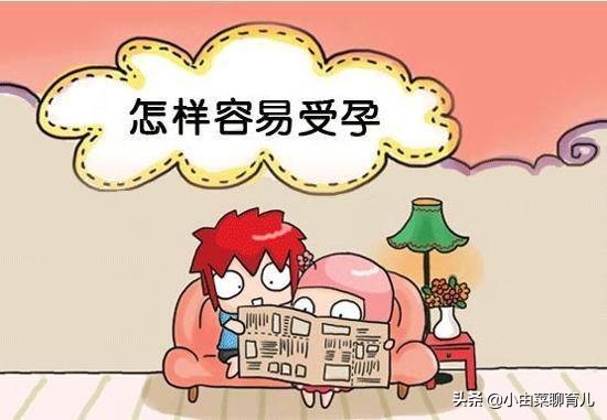 受孕成功的全过程,受孕全过程的科普解读