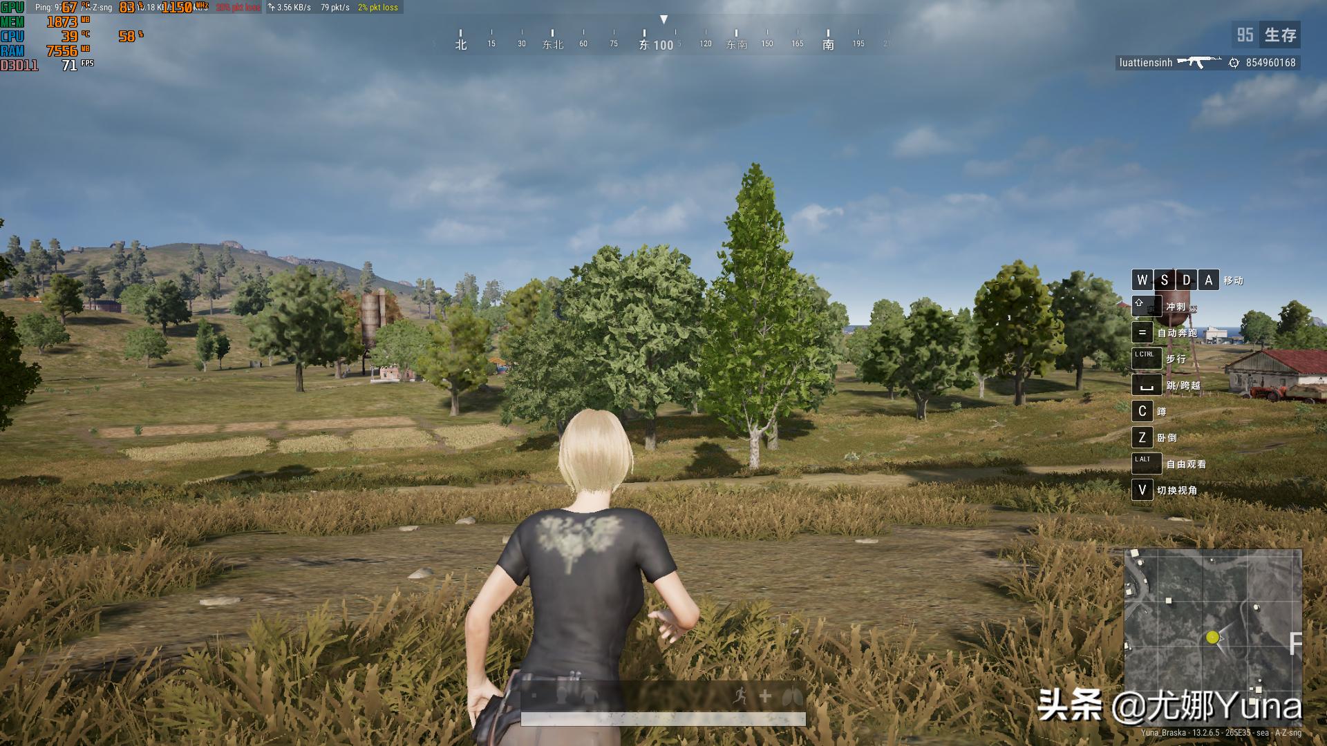 古董显卡,老古董显卡