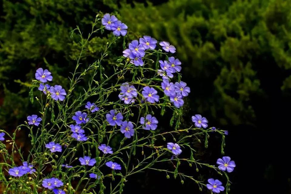 张北最美的景区是哪里,最美的草原自驾游路线攻略