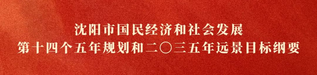 沈阳最近二十年发展规划,沈阳市经济发展情况