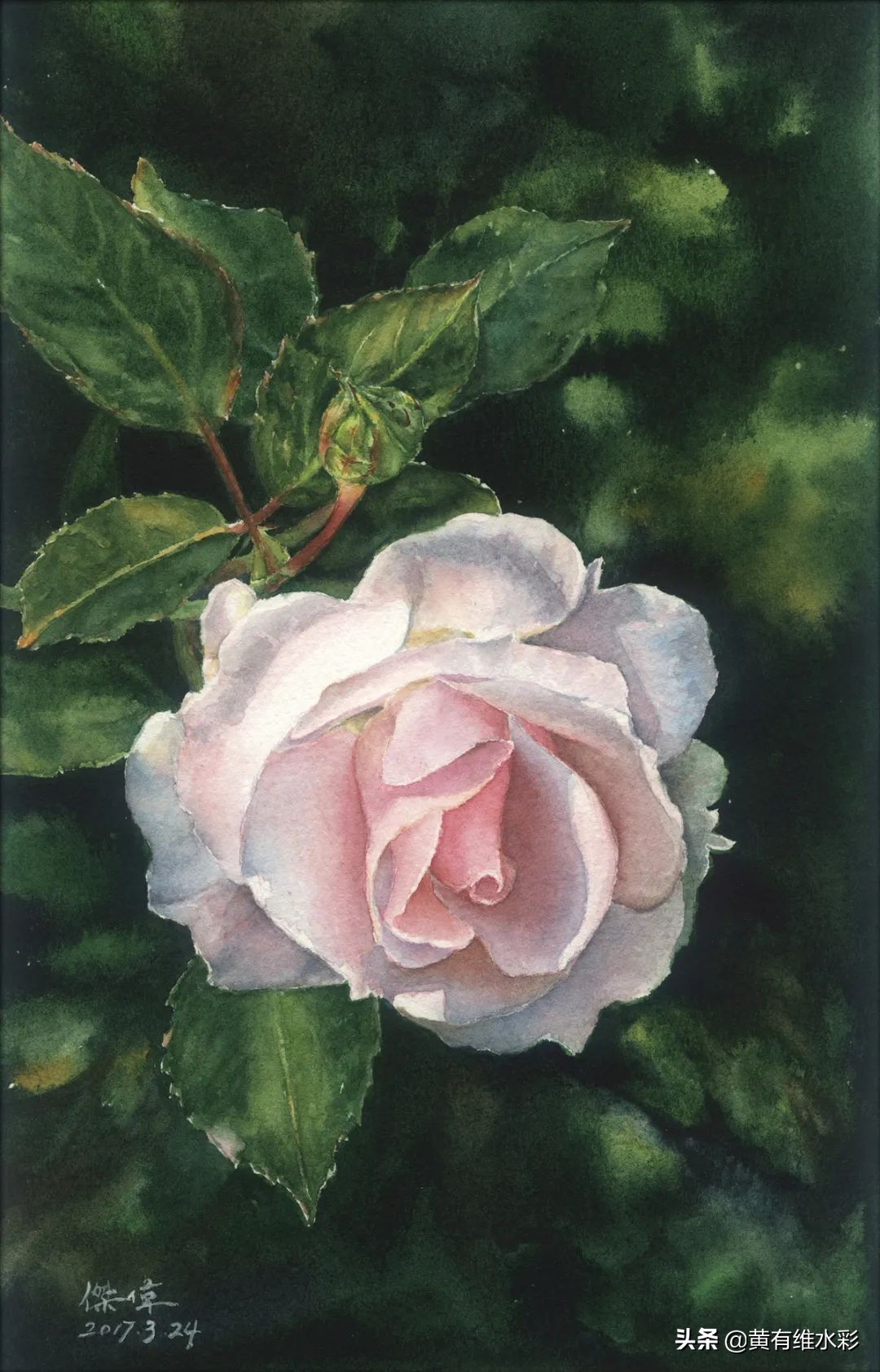 一个理工男的避坑指南,水彩入坑第一天