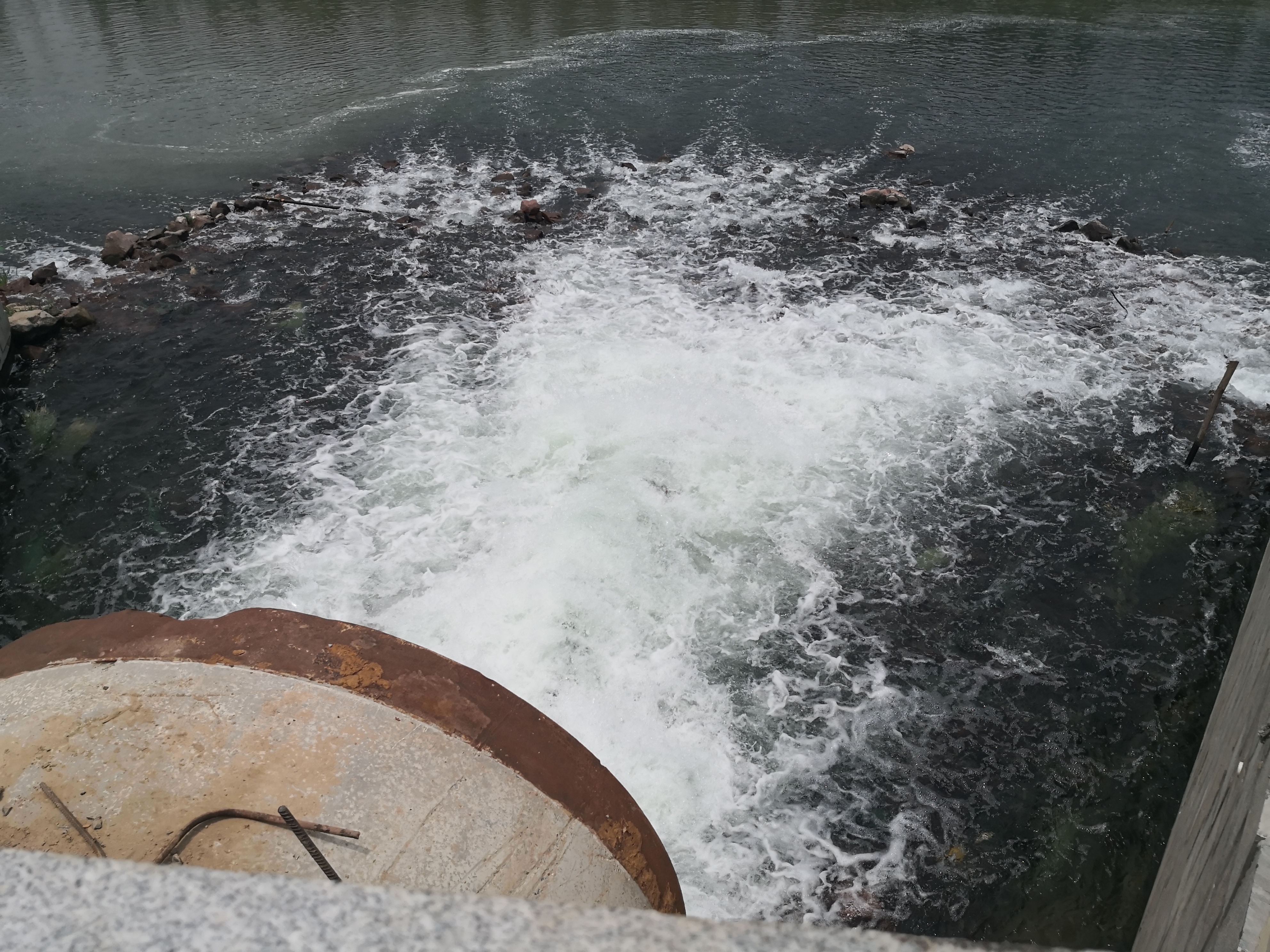 郑州经常被人吐槽的人,郑州被吐槽