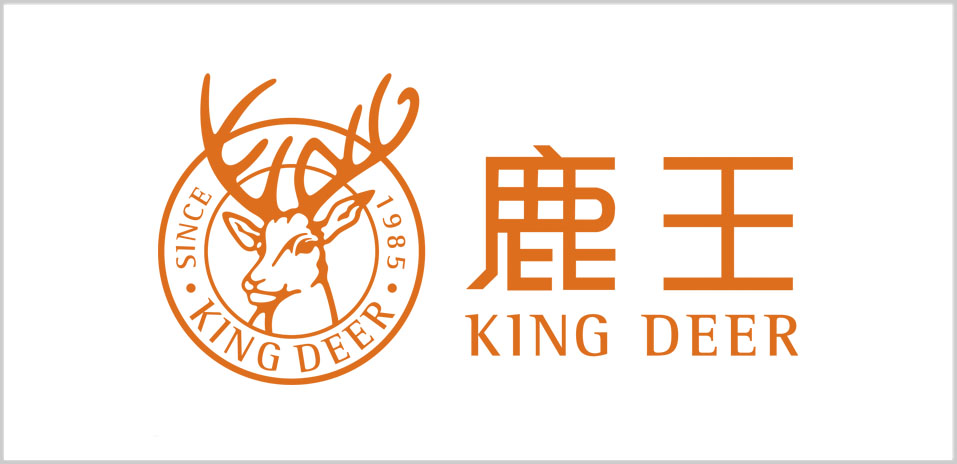 内蒙古鹿王羊绒有限公司子公司,内蒙古鹿王羊绒有限公司上海浦东