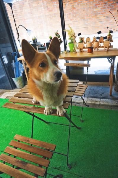 一个念头完整版,一个念头吉他