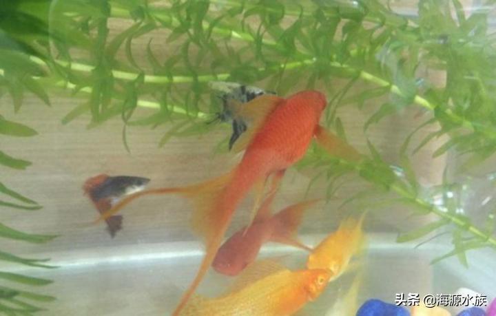 从外表到内在再到灵魂,从外表到内在