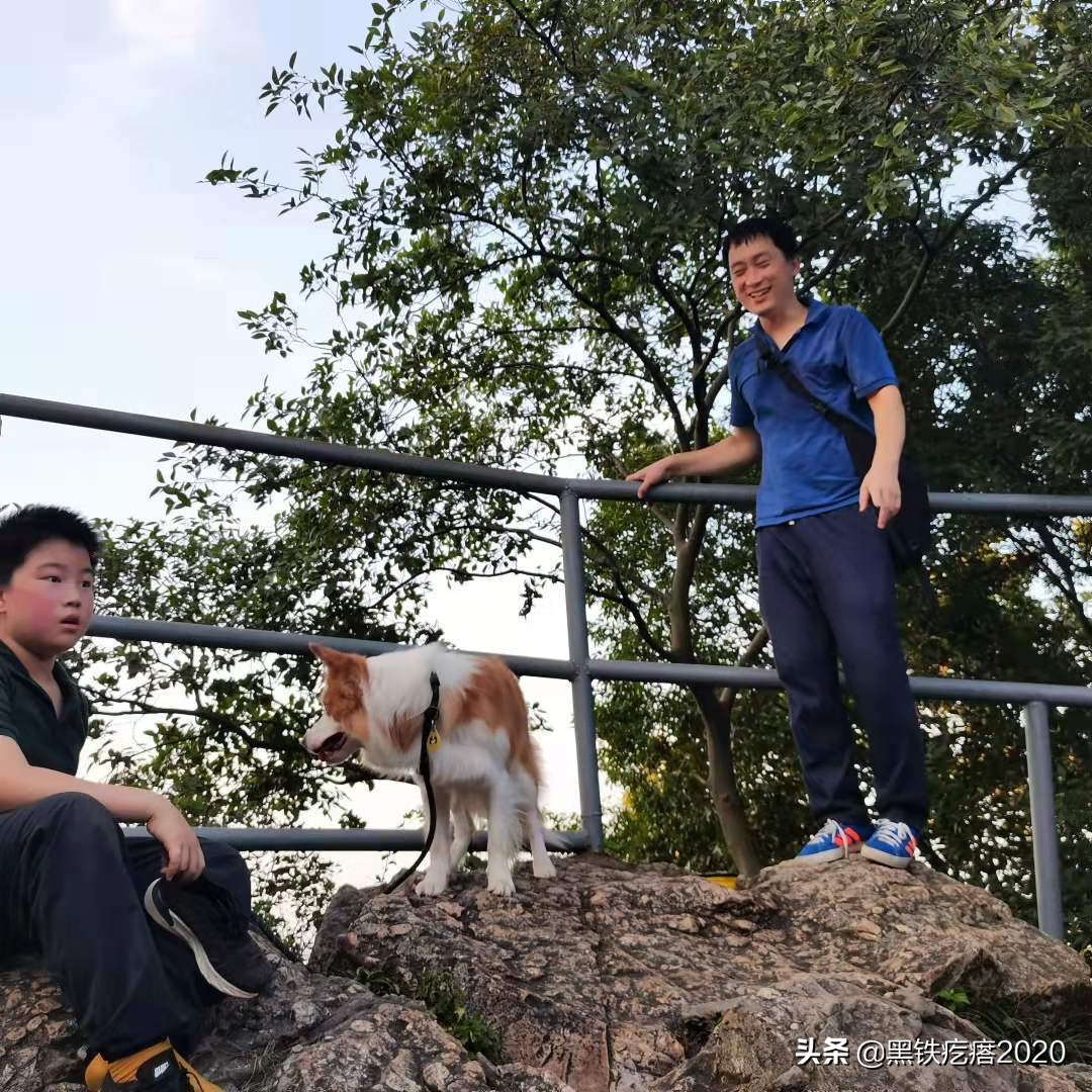 南京旅游攻略住宿酒店大学生,南京旅游攻略必去十个景点