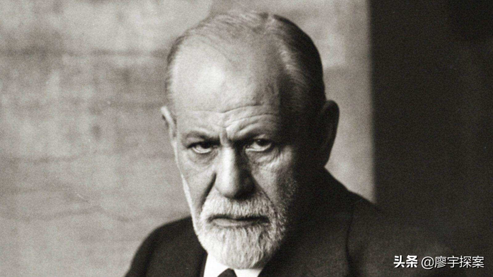 名侦探鹦鹉,名侦探鹦鹉破案