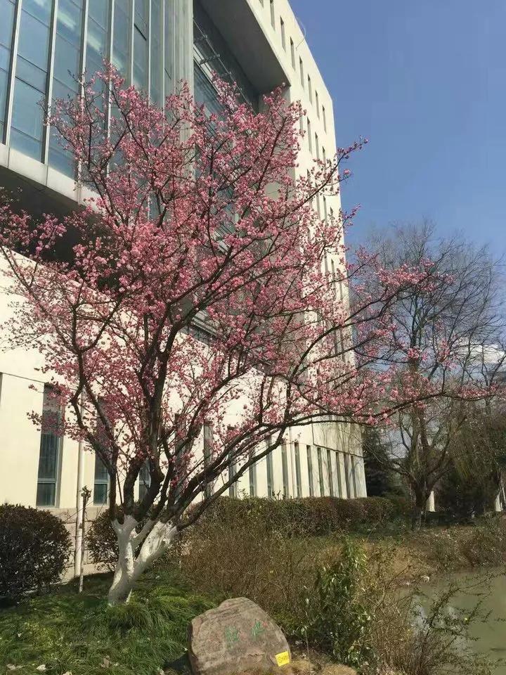 安徽省合肥师范学院2024招生简章,安徽省合肥师范学院今年投档线