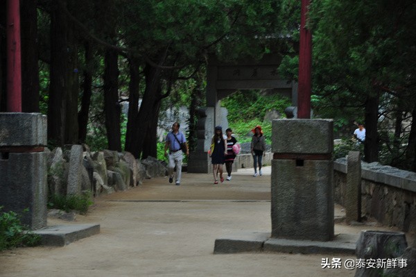 泰山斗姆宫尼姑,泰山斗母宫和斗姥宫