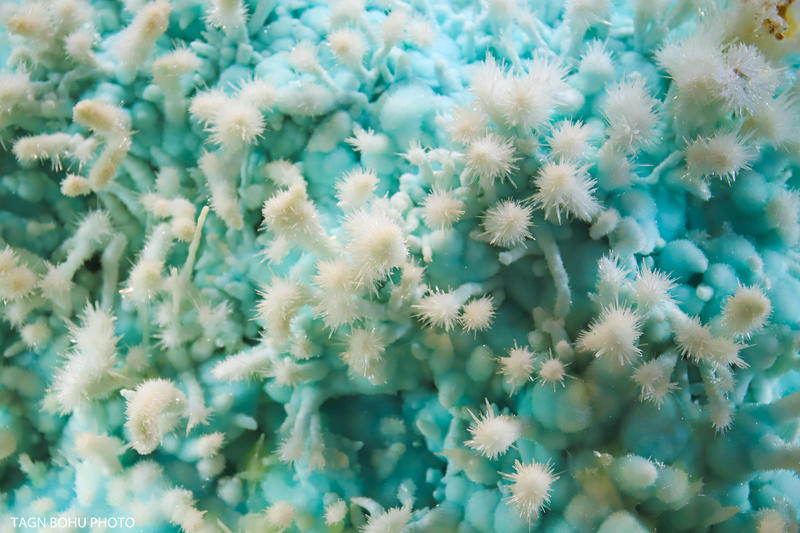 衢州常山春日旅游攻略,常山小众景点