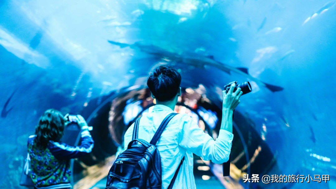 迪拜游玩一定要体验一次,迪拜必去十大景点旅游攻略