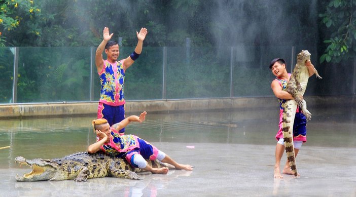 长隆飞鸟乐园湿地精灵,长隆飞鸟公园一日游攻略