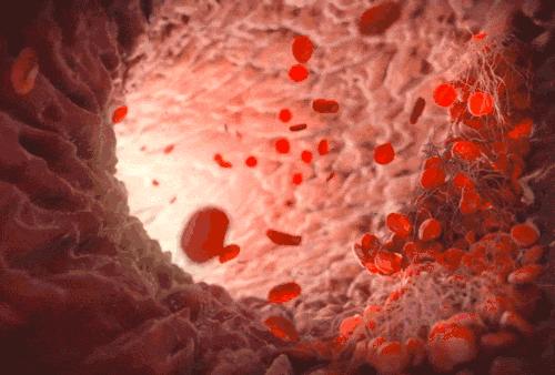 为献血做贡献,无偿献血不仅光荣而且有益健康