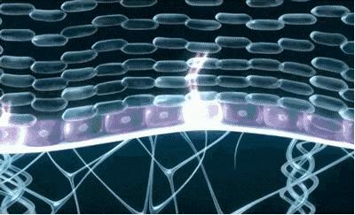 安瓶肌底液和精华的区别,肌底液原液精华三者的区别