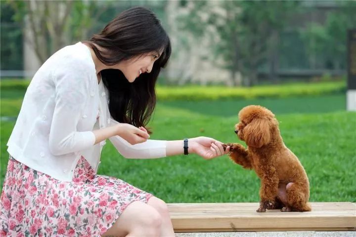 宠物医院会越来越赚钱吗,宠物医院为什么这么会赚钱