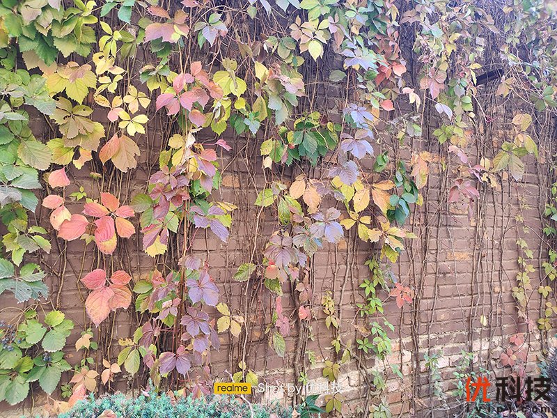 爆款力作，性能更出色realme真我Q3s优科技全面评测