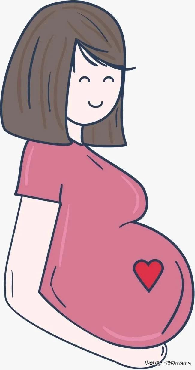 尊重生命完整版视频,尊重生命感动视频