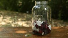 这个季节有了杨梅怎么做杨梅酒,一年一度的杨梅季泡杨梅酒