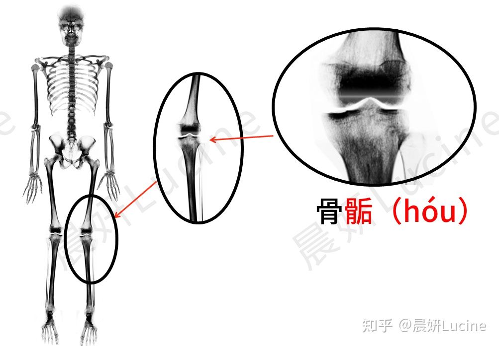 很矮的男生怎么穿搭,长得矮的男生穿衣搭配技巧