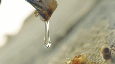 有哪些眼霜抗皱效果好,眼霜效果好国货