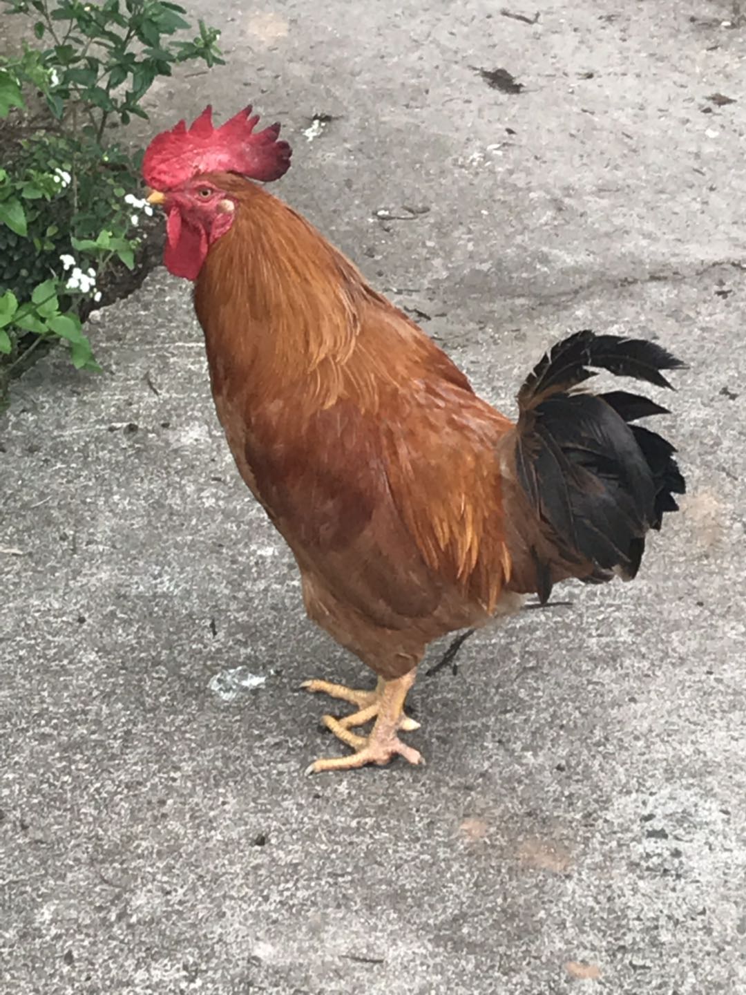 今天团建图片亘泰集团