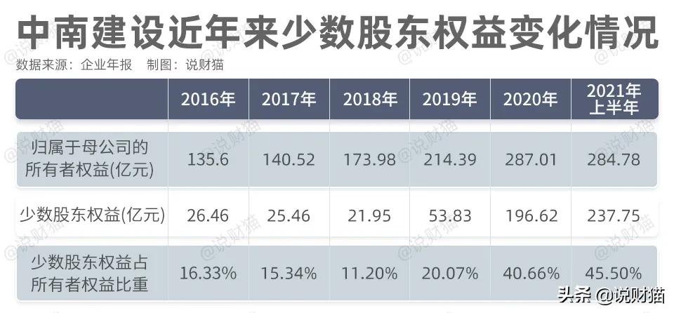 中南地产反腐,中南置地腐败