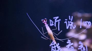 绚丽珊瑚海300+种海底生物，火爆盆友圈的网红打卡圣地就在中山路