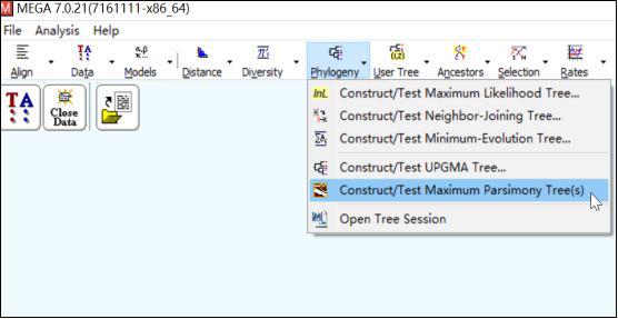 手把手教你构建漂亮的进化树,系统进化树怎么调试节点