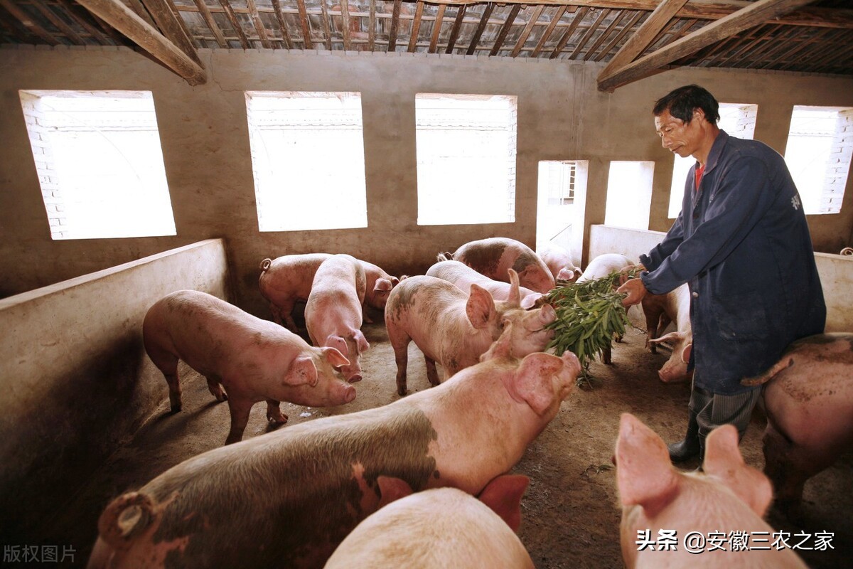 返乡创业最有效的方法,返乡创业不再迷茫