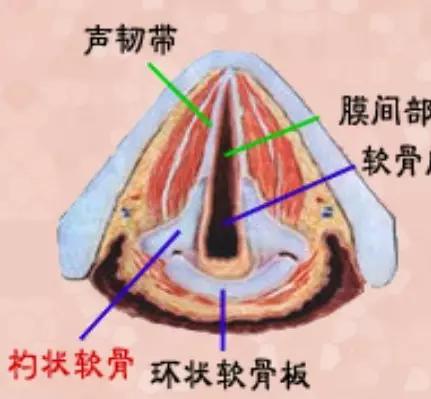 喉部病变做核磁还是ct,耳鼻喉科常见病影像诊断
