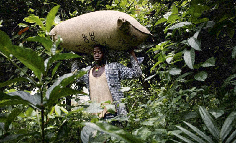 你不知道的国家冷知识塞拉利昂,科特迪瓦是哪个国家