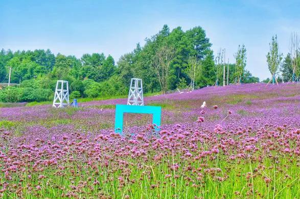 重庆綦江有什么避暑的地方,重庆綦江避暑地方有哪些