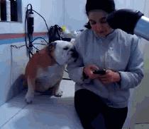 搞笑gif趣图小伙子估计你要单身了,gif爆笑趣图大爷永远是大爷